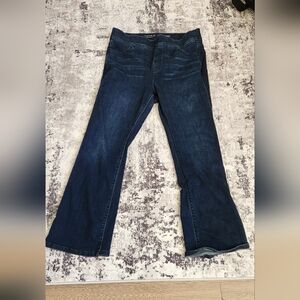 Torrid Dark Lean Jean